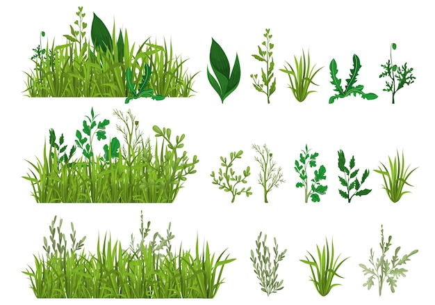 Vector green grass realistic set