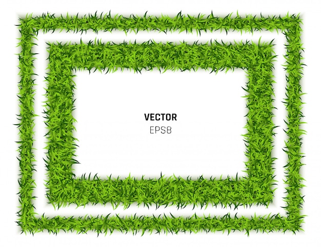 Vector green grass rectangle background