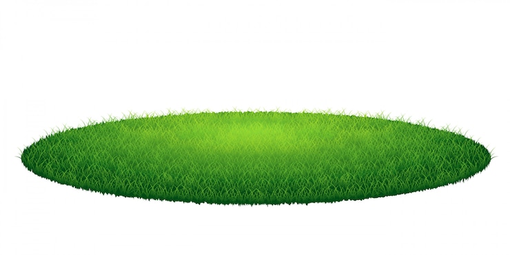 Vector green grass round arena