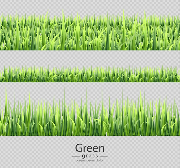 Vector green grass set collection