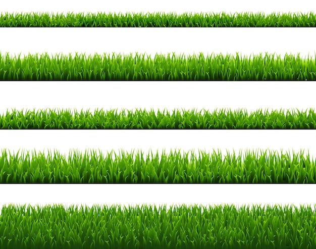 Green Grass Set Isolated White Background