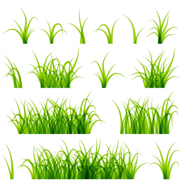 Green grass set isolated on white background