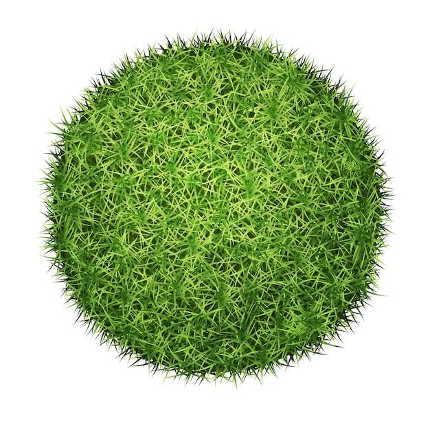 緑の芝生の球
