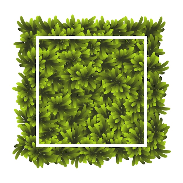 Vector green grass square ground cover plants background texture design for card banner piece grasses for you design