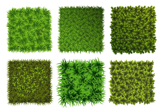 Green grass squares ground cover plants background texture design for card banner piece grasses for you design