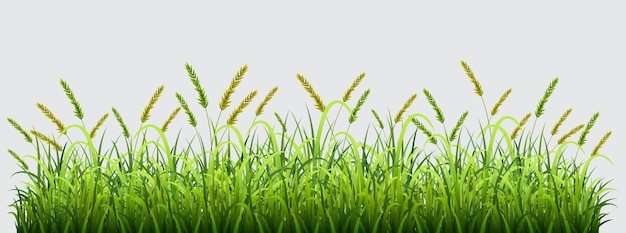 Vettore set di modelli di erba verde