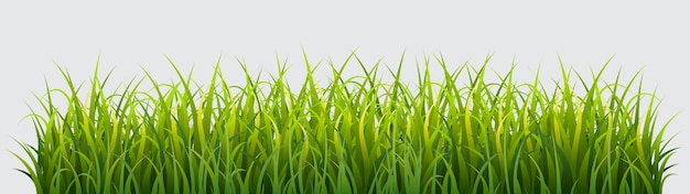 緑の草のテンプレート セット