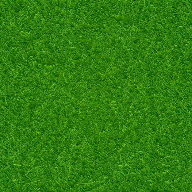 Green grass texture background