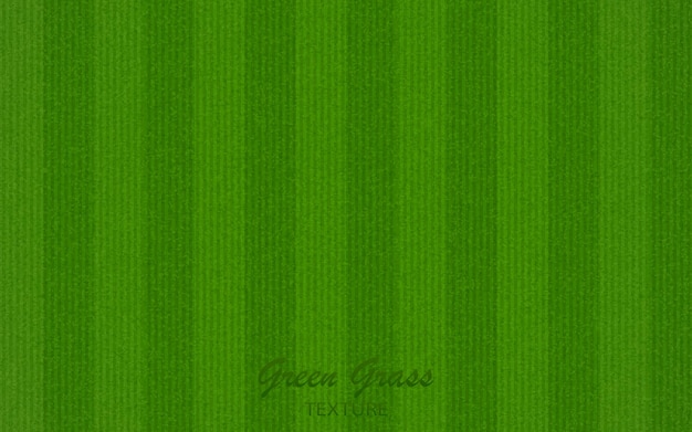 Green grass texture vector background EPS10