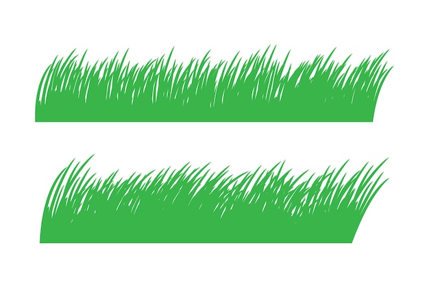 Green grass vector