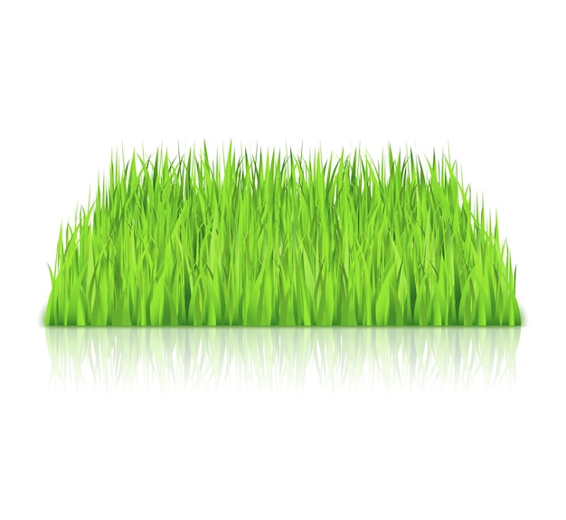 Зеленая трава на белом фоне векторная иллюстрация eps10