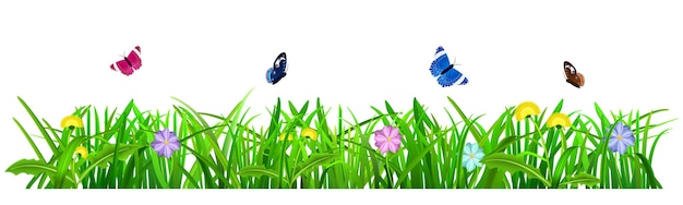 Vector green grass with flowers and butterflies on white background