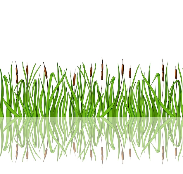 Green grass with reeds and reflection is a seamless illustration. 