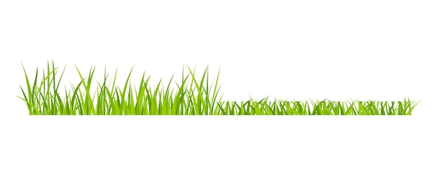 Green grassland lawn field border flat style design vector illustration