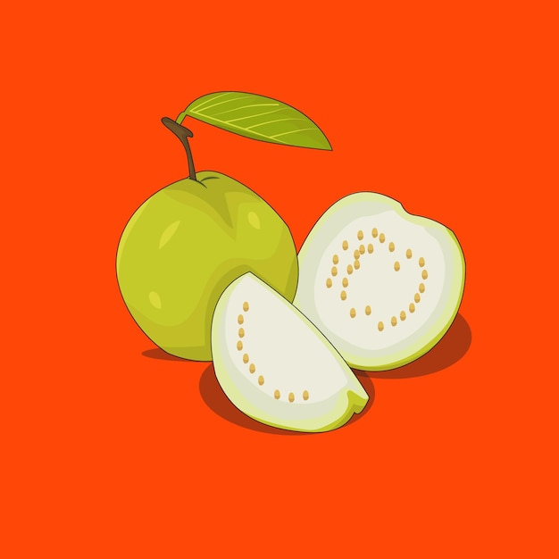 green guava vector on orange background