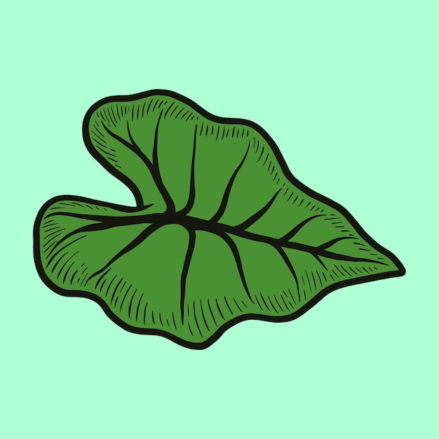 Green Hand Drawing Tropical Leaf Illustration