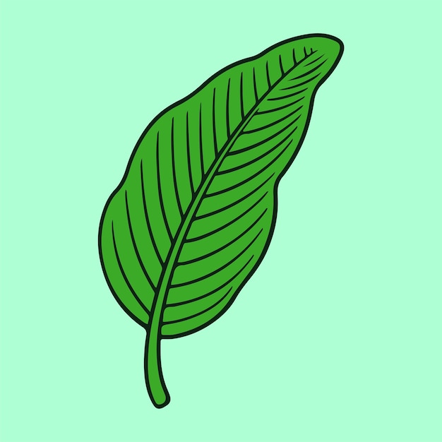 Green Hand Drawing Tropical Leaf Illustration