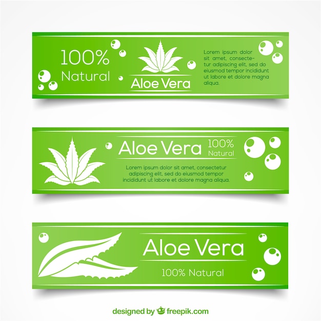 Bandiere aloe vera a mano verde