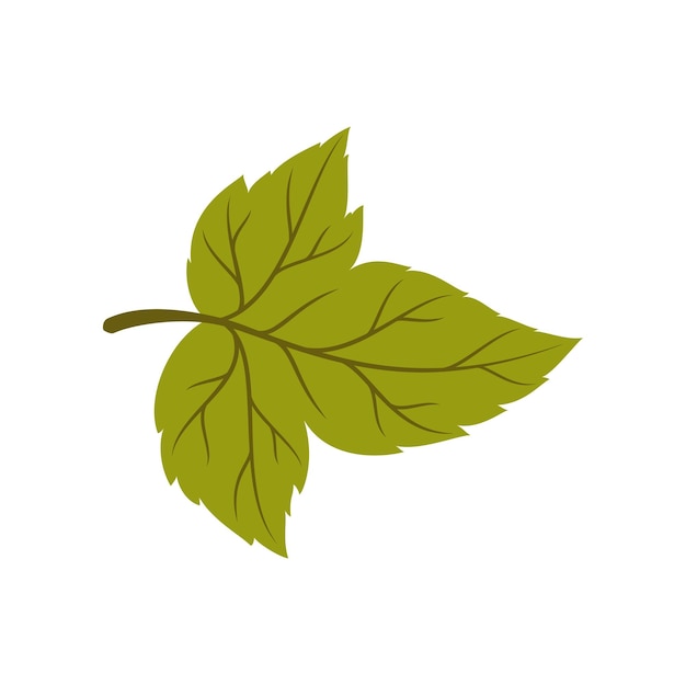 Green hawthorn leaf isolated plant foliage icon