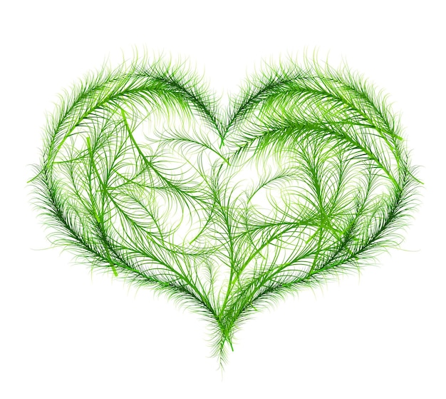 Vector green heart vector illustration