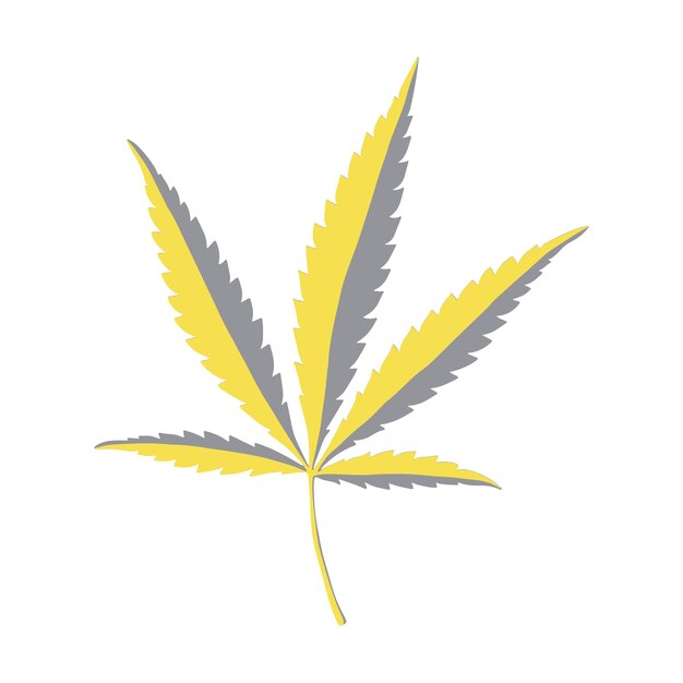 Vector green hemp leaf cannabis vector icon isolated vector illustration