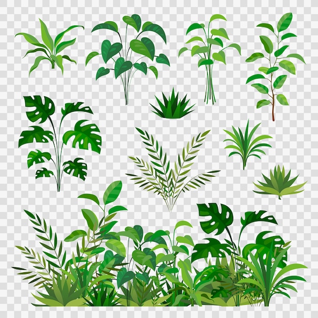 Green herbal elements. Decorative beauty nature ferns and leaf plants or herbs greens   branches and flower botanic decor set