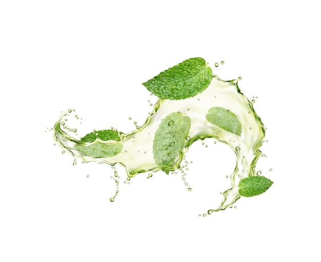 Vector green herbal tea wave splash mint leaves flow
