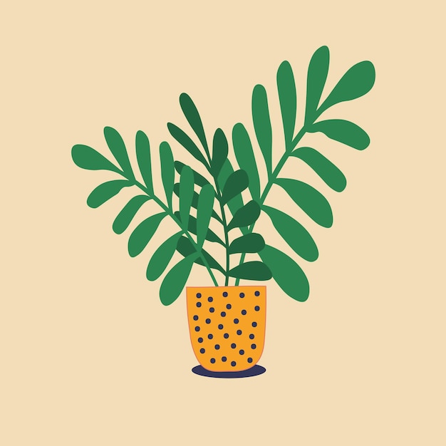 Vector green home plant in a beautiful pot on a bright background