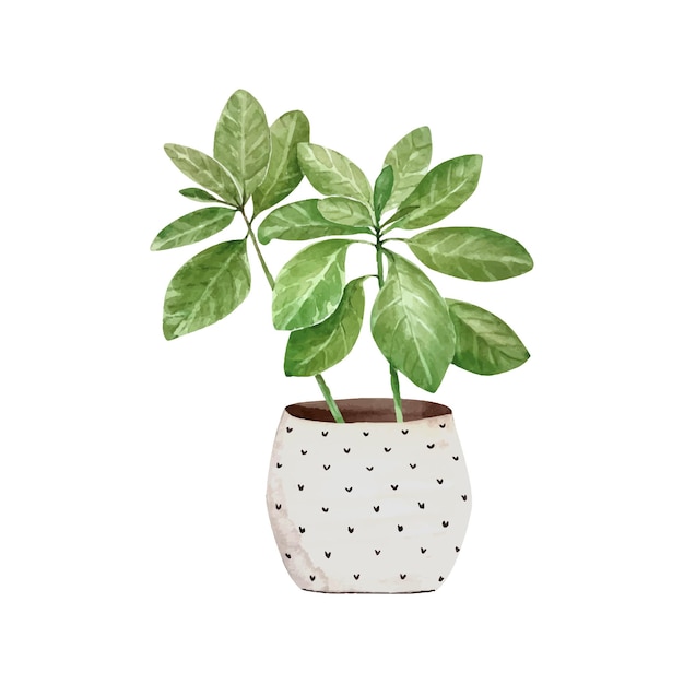 green houseplant in a pot hand painted