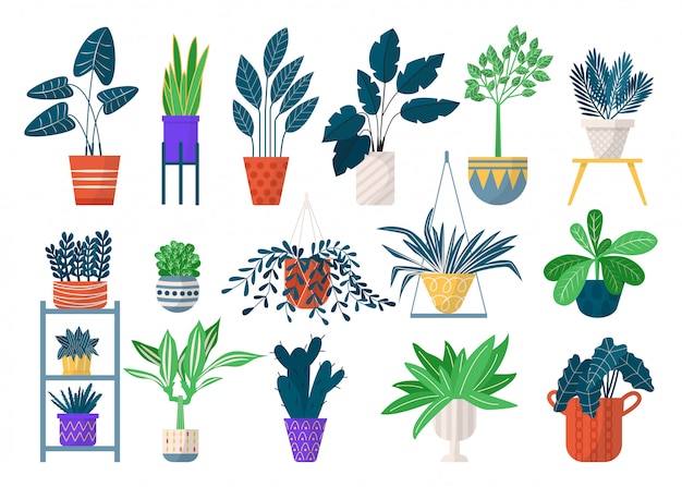 Green houseplants in pots icon set of   illustrations. Home planted greenery, flowers and pots with succulents, cactuses. House potted plants for floral  and botany, decoration.