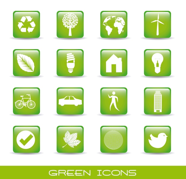 green icons over white background vector illustration