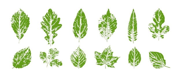 Green imprints of leaves of trees and shrubs set