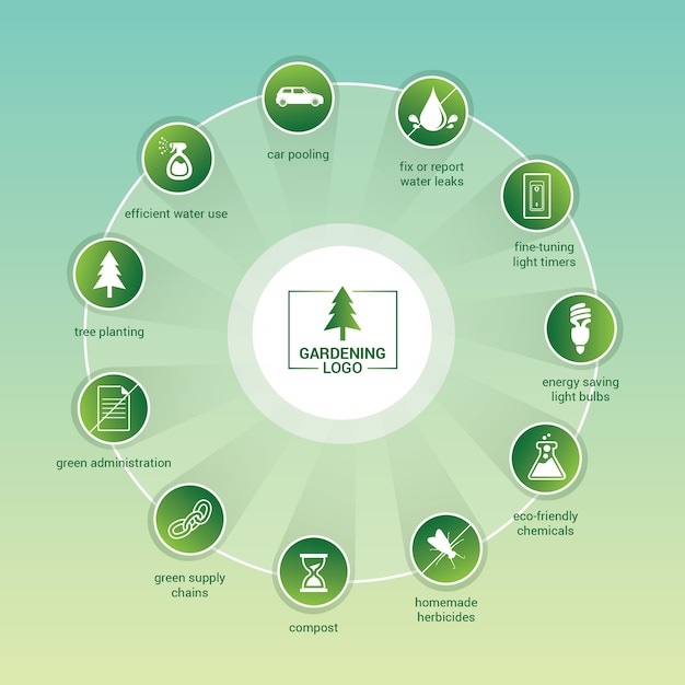 Vettore modello di infografica verde