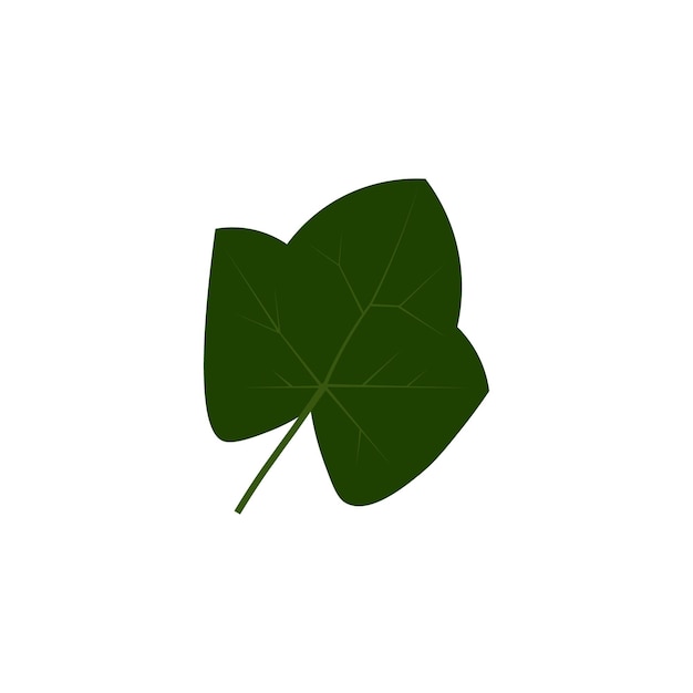 Vettore illustrazione vettoriale foglia di edera verde