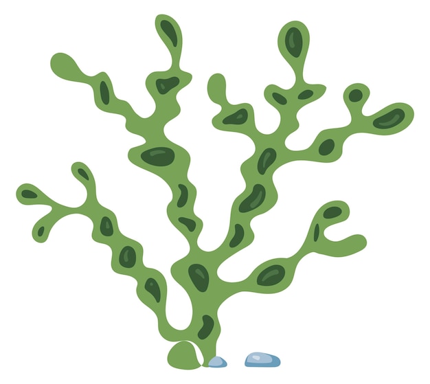 Vector green kelp cartoon icon underwater alga plant