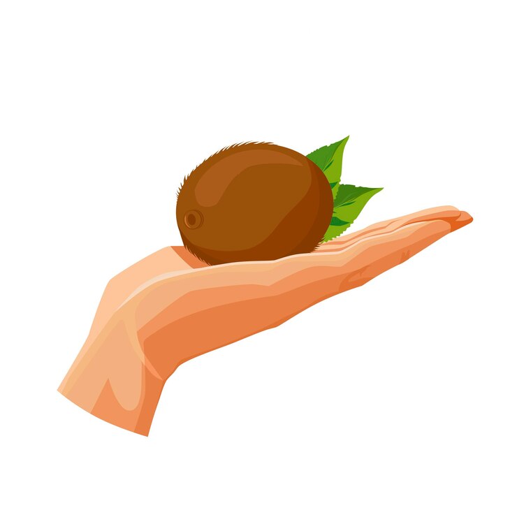 Vector green kiwi in the palm isolated on white background vector fruit clipart in flat style for design
