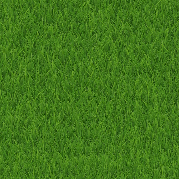 Green lawn grass texture seamless pattern Vector