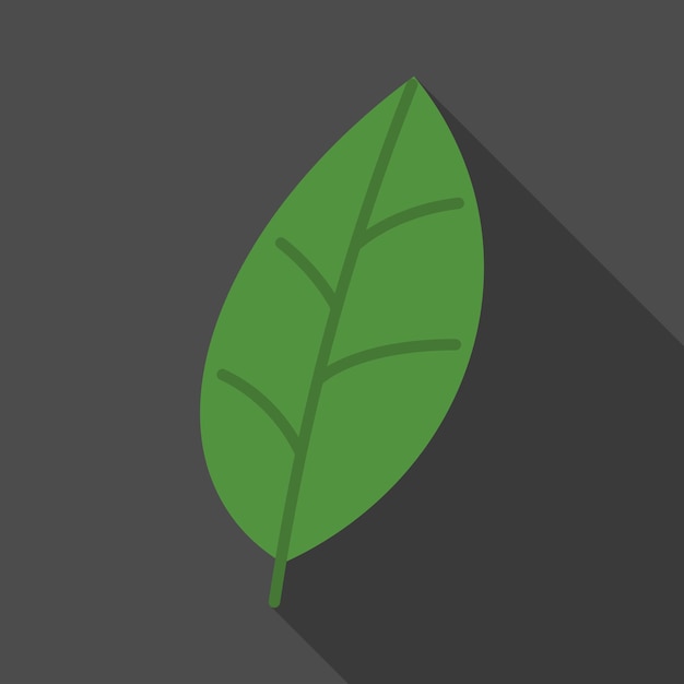 검은색 바탕에 있는 초록색 잎과 긴 그림자를 가진 평평한 아이콘 생물학 아이콘 픽토그램 터 일러스트레이션