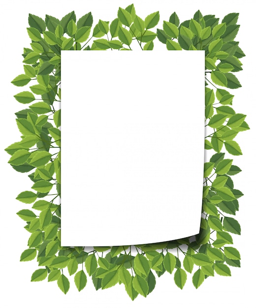 Green leaf blank border