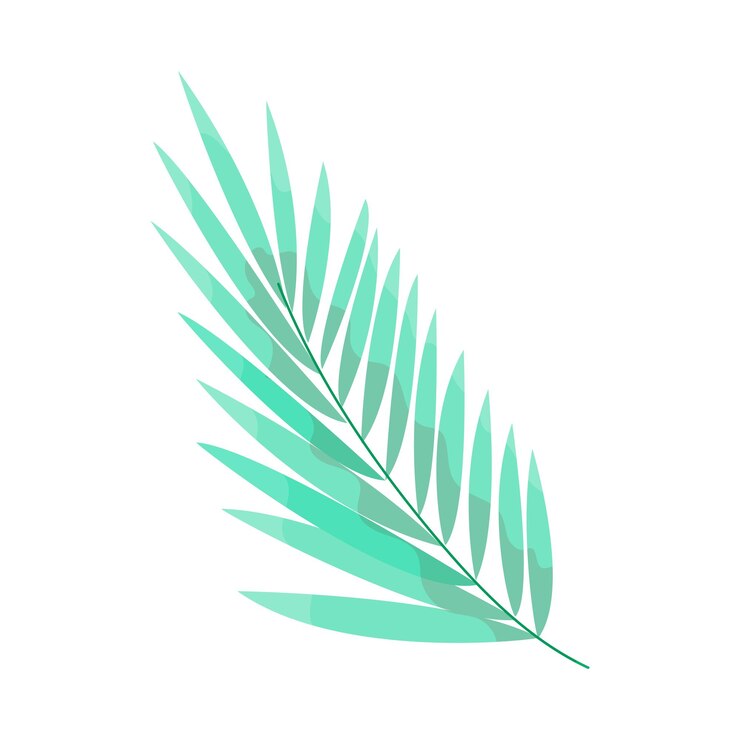 Vector green leaf in cartoon style plant leaf for decoration vector illustration isolated on white background