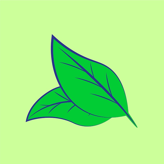 Green Leaf Colorful vector Illustration art