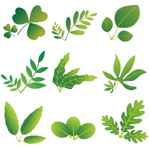 Green leaf design element