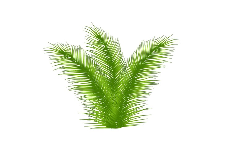 Vector green leaf design