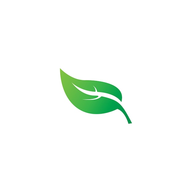 Экологический элемент экологии зеленого листа