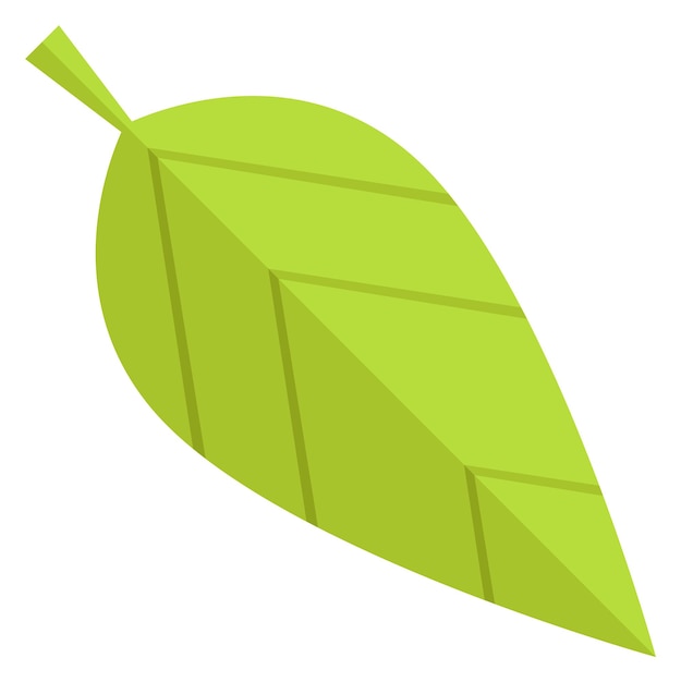 Вектор Значок зеленого листа символ природного весеннего растения