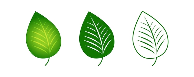 Green leaf icon Vector illustration