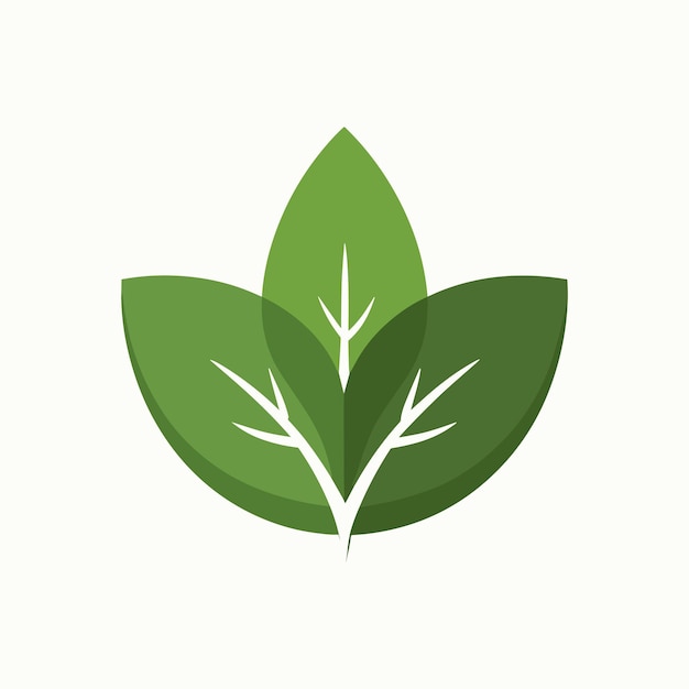 green leaf icon