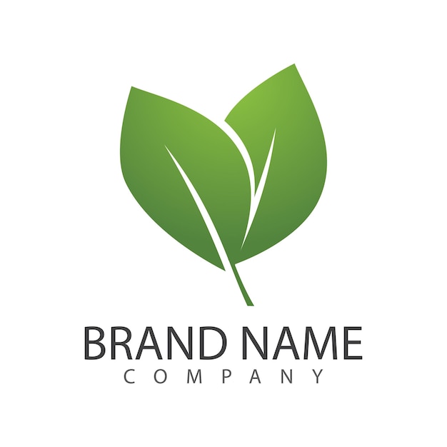 Green leaf illustration nature logo design