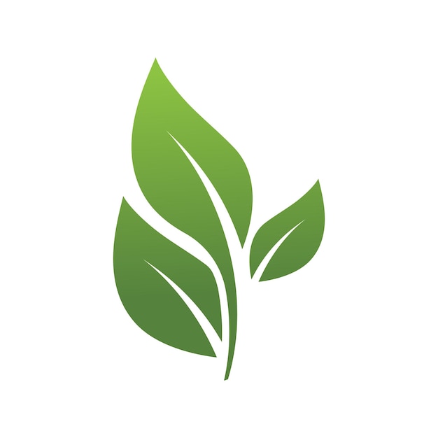 Green leaf illustration nature logo design