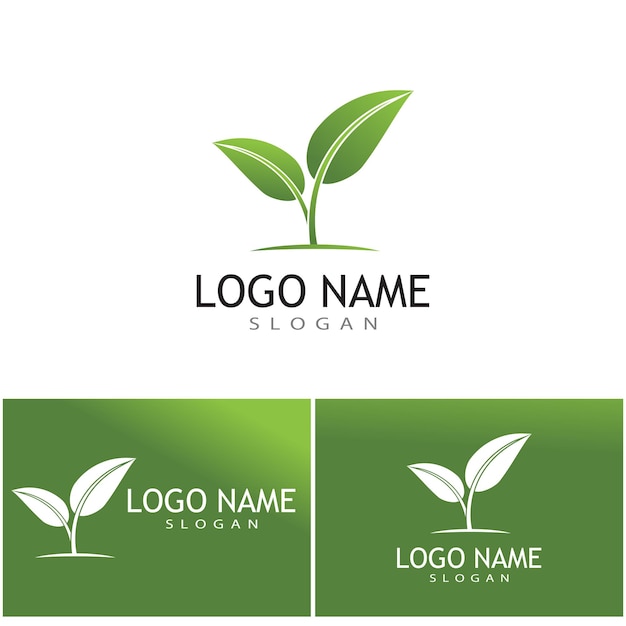 Green leaf illustration nature logo design